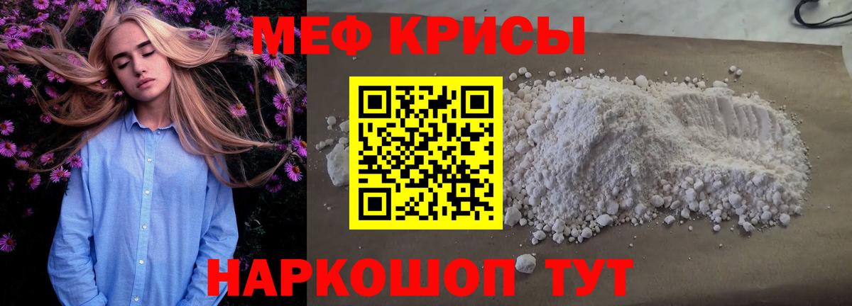 МЕФ  Котлас